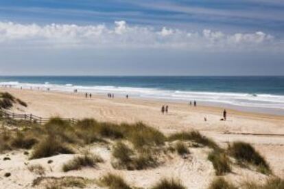 La playa de La Barrosa, en la costa de Cádiz.