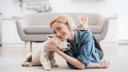 Este es el mejor eliminador de olores de mascotas que se puede comprar en Amazon