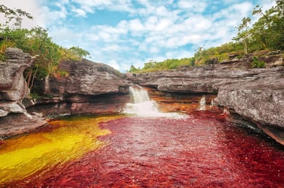 Caño Cristales es conocido como el río de los cinco colores o el arcoíris derretido. Sus aguas transparentes permiten ver cómo es su fondo, en el que destacan las plantas acuáticas de colores. Es un territorio protegido por Parques Nacionales de Colombia pues allí convergen los ecosistemas de la región de la Amazonía, la región Andina y la Orinoquía.