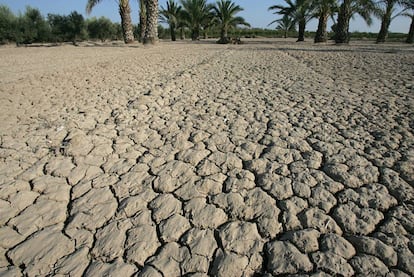 Terreno seco en Alicante.