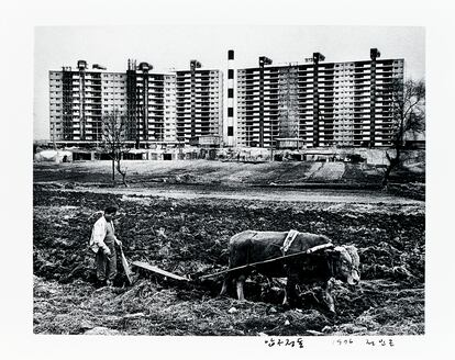 Campos y nuevas construcciones en el barrio de Gangnam, en Seúl, en 1976.