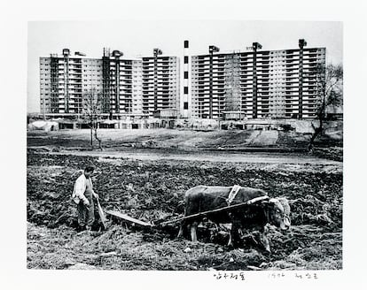 Campos y nuevas construcciones en el barrio de Gangnam, en Seúl, en 1976.