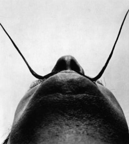 Los bigotes de Salvador Dalí, sin duda alguna los más famosos de la Historia del Arte, fotografiados por Philippe Halsman.