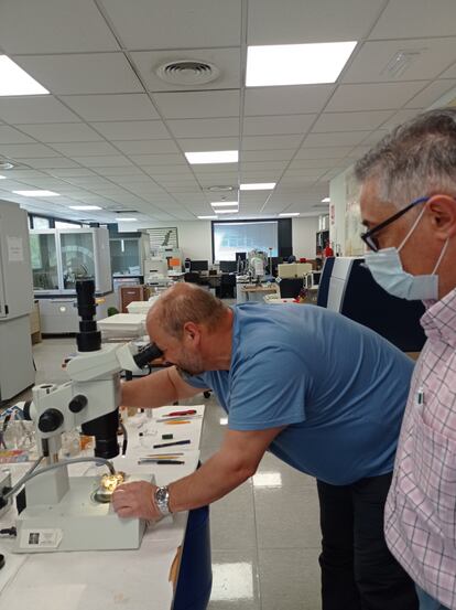 Guillermo Zaragoza, técnico de la unidad de rayos X en la USC, y el doctor en biología Carlos Rodríguez, que recogió la ermeloíta en el monte moañés.