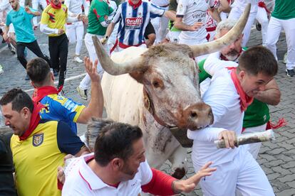 Tras los tradicionales cánticos a San Fermín y el lanzamiento del cohete a las 8.00, la manada ha partido de los corrales de la cuesta de Santo Domingo, arropada y encabezada por los cabestros a escasa distancia de los astados.