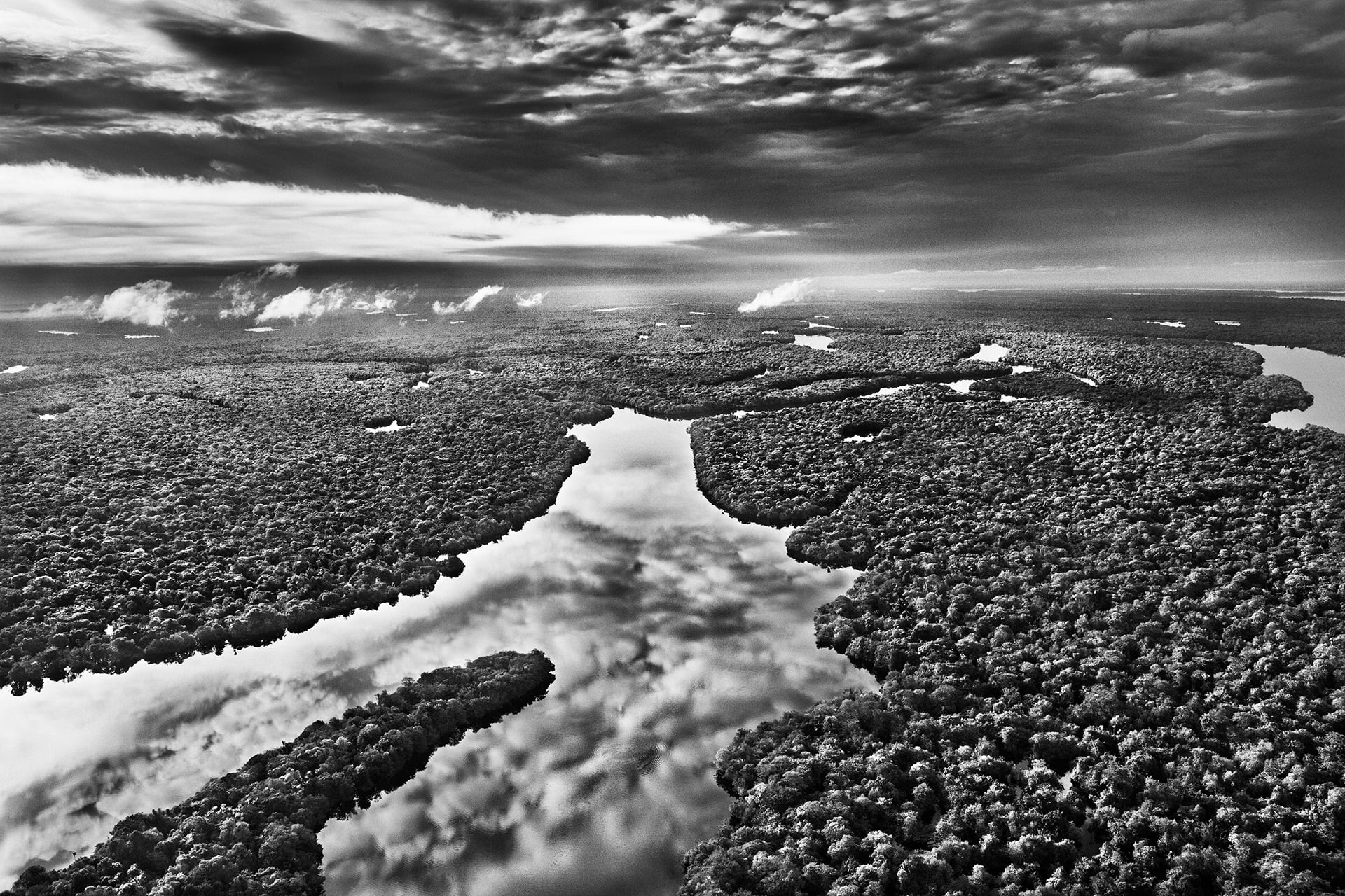 Sebastião Salgado, la Amazonia y la poética del conocimiento
