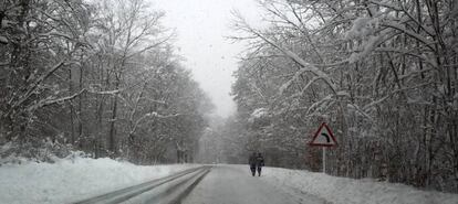 A wintry landscape in Roncesvalles (Navarre).