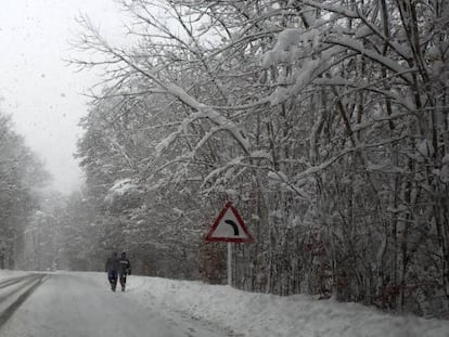 A wintry landscape in Roncesvalles (Navarre).