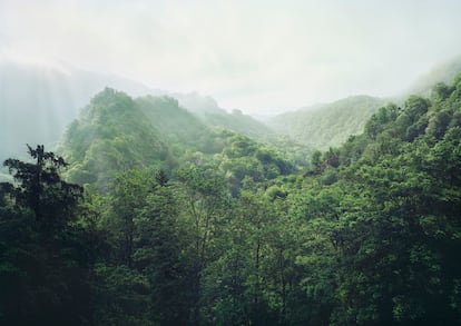 Monte Auseva de Covadonga (Asturias). Este libro es, para su autor, el prólogo o antesala de un ambicioso proyecto vital que ha titulado ‘Susurros de piedra’, y que pretende poner en valor la historia de España. Trabaja en él desde 2019, año en el que recorrió más de 6.300 kilómetros para tomar 10 fotografías en Galicia. Su intención es sacarle partido a lo inédito. ‘Luz de España’ recoge espacios extraños pero también conocidos retratados desde otro punto de vista. “¿A que parece mentira que se trate de un lugar tan popular como Covadonga?”, comenta Manso, entre divertido y orgulloso, sobre la fotografía que acompaña este texto. Son imágenes en las que, gracias al encuadre y a la luz, se transforman lugares muy trillados en paisajes únicos. Al observar y analizar el enclave asturiano, al fotógrafo le pareció espectacular el contraste del verde con el amanecer empañado, como visto a través de un parabrisas lleno de vaho. “Hacía mucho frío, y las nubes se mezclaban con la niebla de la humedad”, acota sobre el momento capturado.