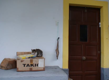 "Curadilo" colgado en la puerta de una casa dejándose secar