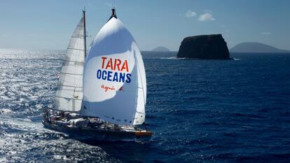 El veler 'Tara', cedit per una dissenyadora de moda francesa.