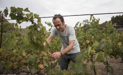 Francesco Arcuri, la expareja de Juana Rivas, en su agriturismo.