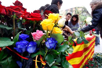 Rosas multicolor en La Rambla