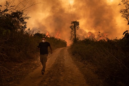 En la región amazónica, la deforestación para la agricultura y la ganadería se combina ahora con la acción del clima para acelerar la 'sabanización' de la selva. En la imagen, fuego en el pantanal, en Pocone, (Mato Grosso, Brasil) el 19 de agosto de 2020.