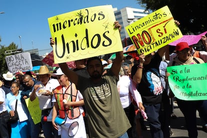 Comerciantes y locatarios de distintos mercados de Ciudad de Mxico se manifiestan frente a la sede de la Secretara de Desarrollo Econmico, el pasado 10 de febrero.