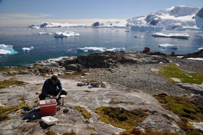 Investigador haciendo trabajo de campo durante la XXX Campaña Polar Antártica.