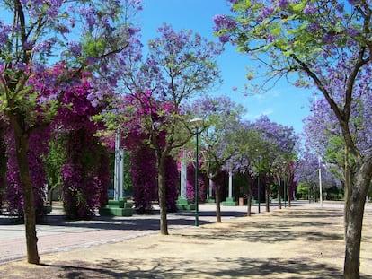 Imagen del parque José Celestino Mutis.