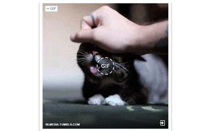 GIF en Facebook