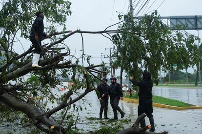 Miembros de Protección Civil cortan ramas de un árbol derribado por los fuertes vientos durante el paso del huracán Helene, este miércoles en Cancún. 