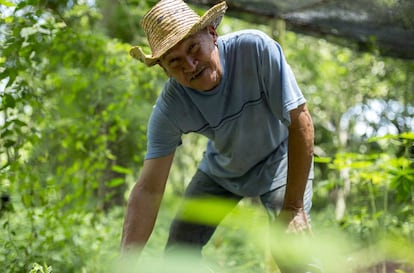 Un agricultor trabaja el campo en Montes de María (Colombia). 