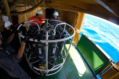 bacterias en el Golfo de México