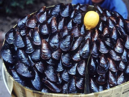 Un canasto con mejillones.