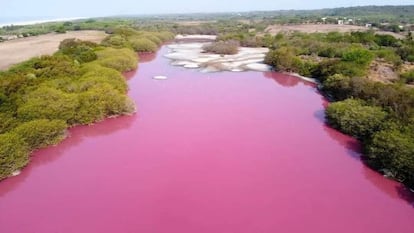 An aerial view of La Escobilla lagoon.