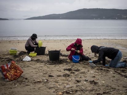 Varios voluntarios limpian los 'pellets' que llegan a la playa de Muros (A Coruña), este jueves.