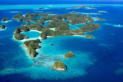 Las llamadas islas Rocosas son el mayor tesoro natural del archipiélago de Palaos (pristineparadisepalau.com), país insular en medio del Pacífico. Un peculiar grupo de islotes cubiertos de espesa jungla y protegidos del oleaje oceánico por un sistema de arrecifes que concentran un importante conjunto de corales y vida marina.