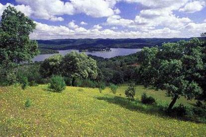 Paisaje primaveral en Sierra Morena: encinas, jaras y flores silvestres en el parque natural de Hornachuelos, en Córdoba. Al fondo, el embalse de Retortillo.