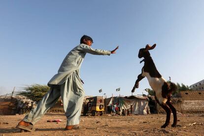 Un chico jugando con su mascota en Karachi, Pakistán.