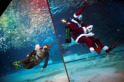 Buzos vestidos como Papá Noel y Rodolfo, el reno de nariz roja, nadan entre sardinas durante un evento promocional de Navidad en Seúl (Corea del Sur), el 7 de diciembre de 2018.