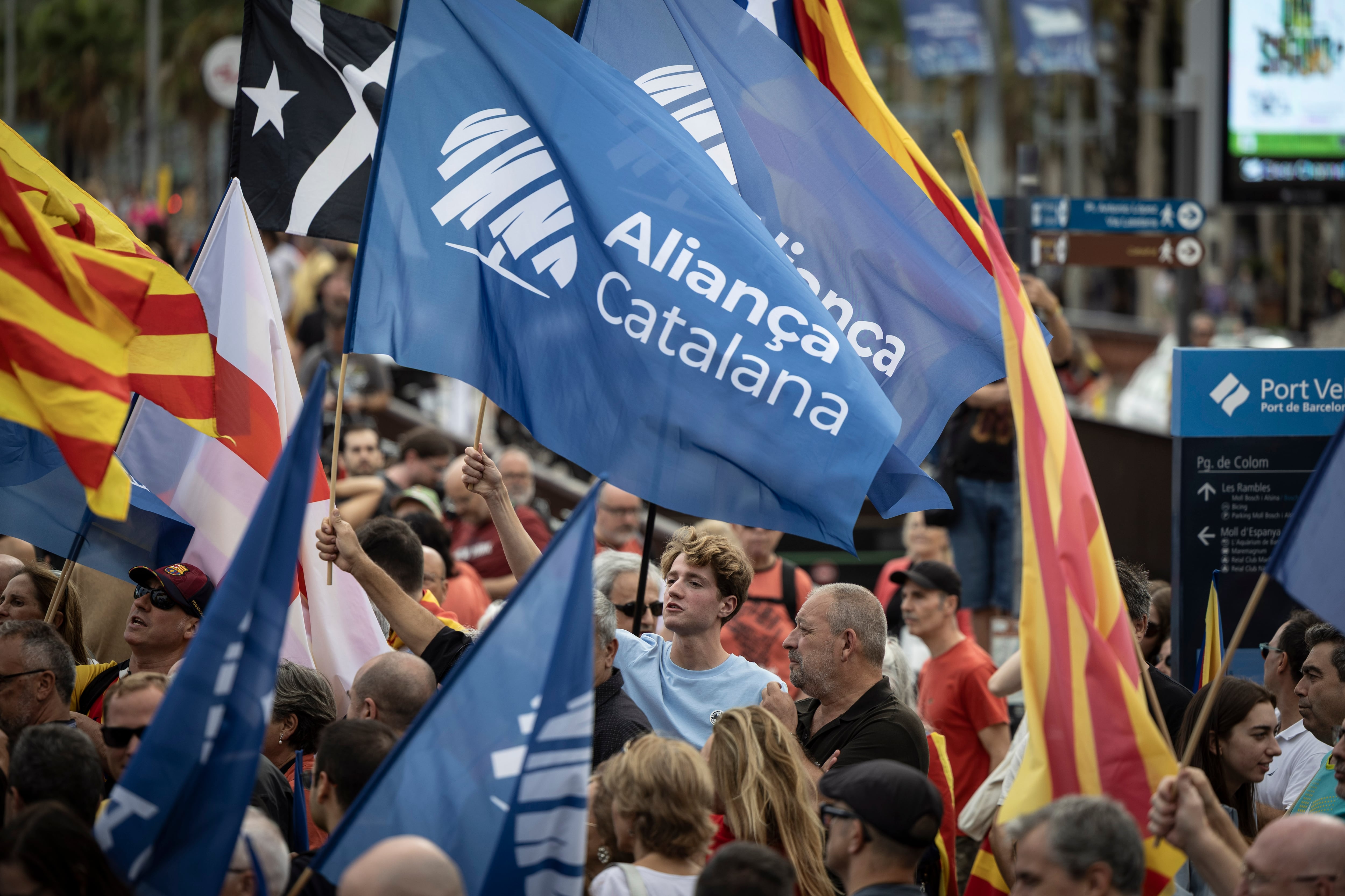 Un militante de Aliança Catalana durante la manifestación de la Diada de Cataluña.