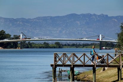 El Ebro, a su paso por Tortosa.