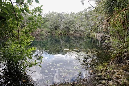 Vista del cenote Car Wash. Se le llama así porque antes era utilizado como lavadero de taxis. Se encuentra junto a la carretera de Cobáa, a ocho kilómetros de Tulum.