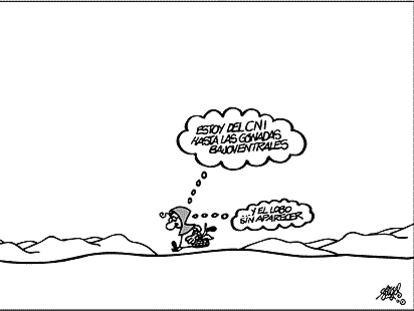 FORGES