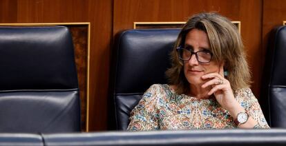 Teresa Ribera,vicepresidenta de Transición Ecológica,hoy en el Congreso.