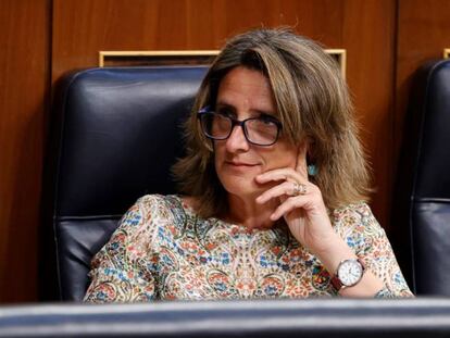 Teresa Ribera,vicepresidenta de Transición Ecológica,hoy en el Congreso.