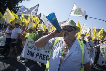 Los olivareros también han señalado que no pararán las movilizaciones hasta que el problema sea solventado de manera urgente. Si no son atendidas sus peticiones, están decididos a organizar una protesta en septiembre en Madrid. Y no descartan acudir a Bruselas.