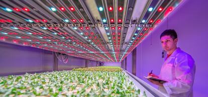 Instalaciones de Philips GrowWise CityFarming en Eindhoven (Países Bajos).