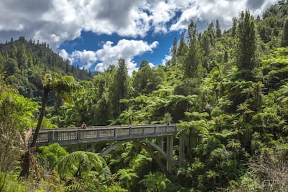 Nas profundezas da floresta do Parque Nacional de Whanganui há uma ponte de concreto. Foi construída em 1936 para dar acesso ao remoto vale de Mangapurua, onde os soldados que retornaram da Primeira Guerra Mundial abriram fazendas no meio da mata. Mas o projeto acabou sendo uma decepção: depois de anos lutando em uma terra pobre, a crise econômica da década de 1920 fez com que as últimas famílias de agricultores abandonassem o assentamento e, em pouco tempo, a selva retomou o local, apagando qualquer vestígio da presença humana, exceto pela ponte que levava ao vale de seus sonhos. De Pipiriki saem lanchas para o cais de Mangapurua, no rio Whanganui, de onde se leva 40 minutos a pé até a ponte.