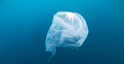 Una bolsa de pl&aacute;stico flota en las aguas de Gorontalo, Indonesia.&nbsp;