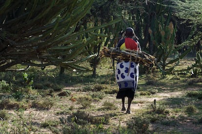  Noonkerupi corta y recoge le?a del bosque el pasado 10 de octubre en la localidad de Maji Moto para producir carbn que vender en el mercado. Esta viuda masi tambin realiza otros trabajos como buscar agua fresca, cargndola en bidones de 20 litros durante varios kilmetros, y atiende partos. As saca algo de dinero para comprar comida y pagar la escuela de sus cinco hijos.