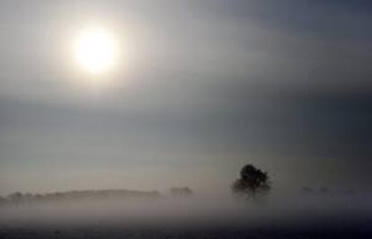 La iniciativa consiste en un conjunto tecnológico de figuras con forma circular que permiten extraer agua a partir de la humedad atmosférica o de la niebla con el fin de satisfacer la necesidad hídrica de las zonas más secas. EFE/Archivo