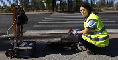 Pilar Torres, controladora de plagas, inspecciona una alcantarilla.