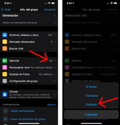 Cómo silenciar un chat de WhatsApp para siempre.
