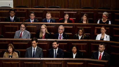 Republicanos en el Consejo Constitucional