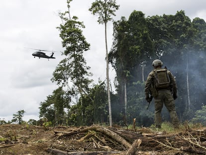 Policía antidroga en un campo de coca en Colombia, en una foto de archivo.