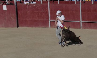 Un momento de la becerrada de Valmojado (Toledo), tomado del v&iacute;deo difundido por PACMA.