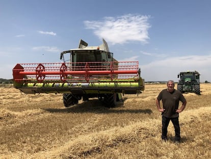 El agricultor Carlos Abendaño, tras recolectar trigo Harmony en una de sus tierras.